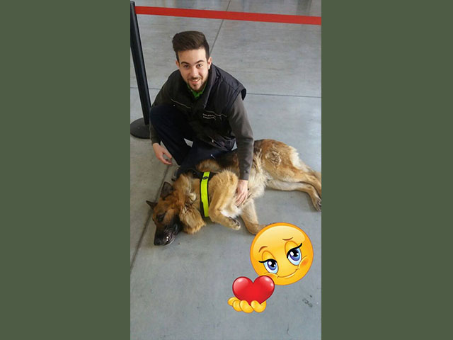 Buona vita Ralph!